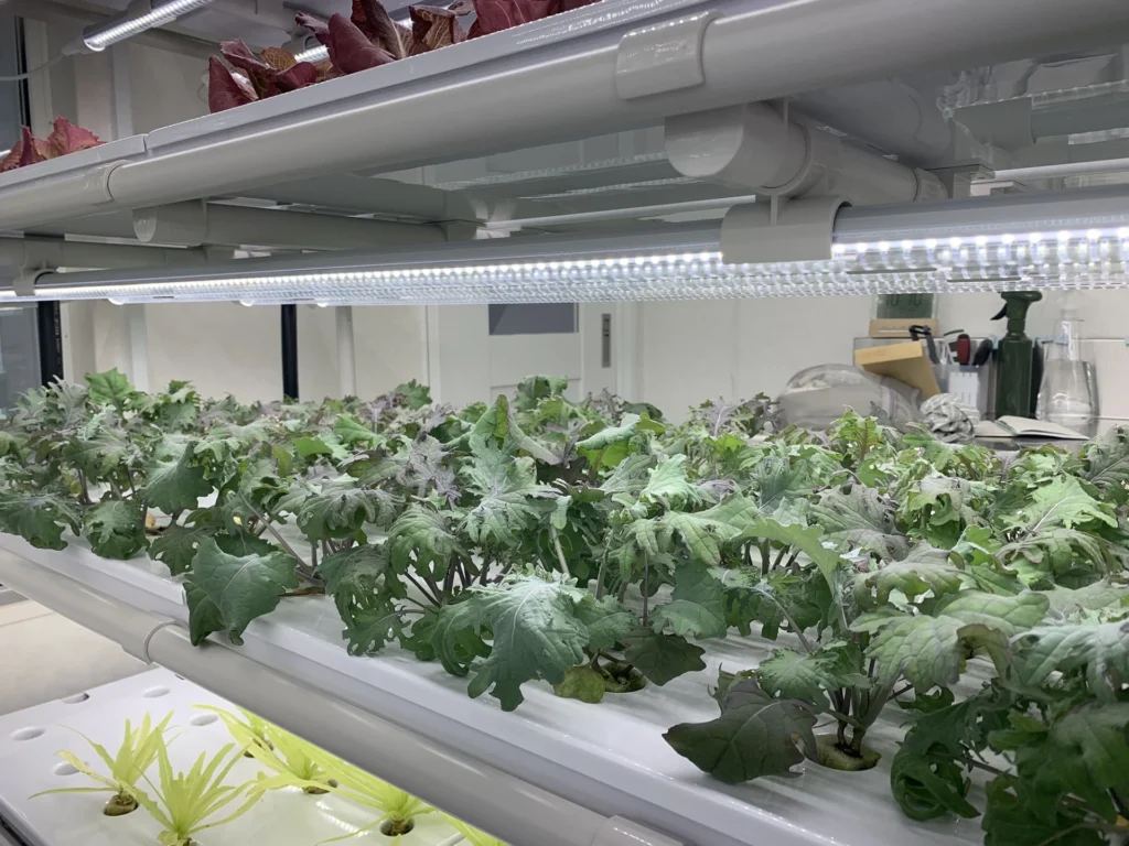 アミエルファーム 魚津市