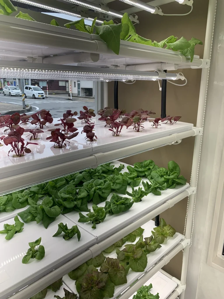 アミエルファーム 魚津市