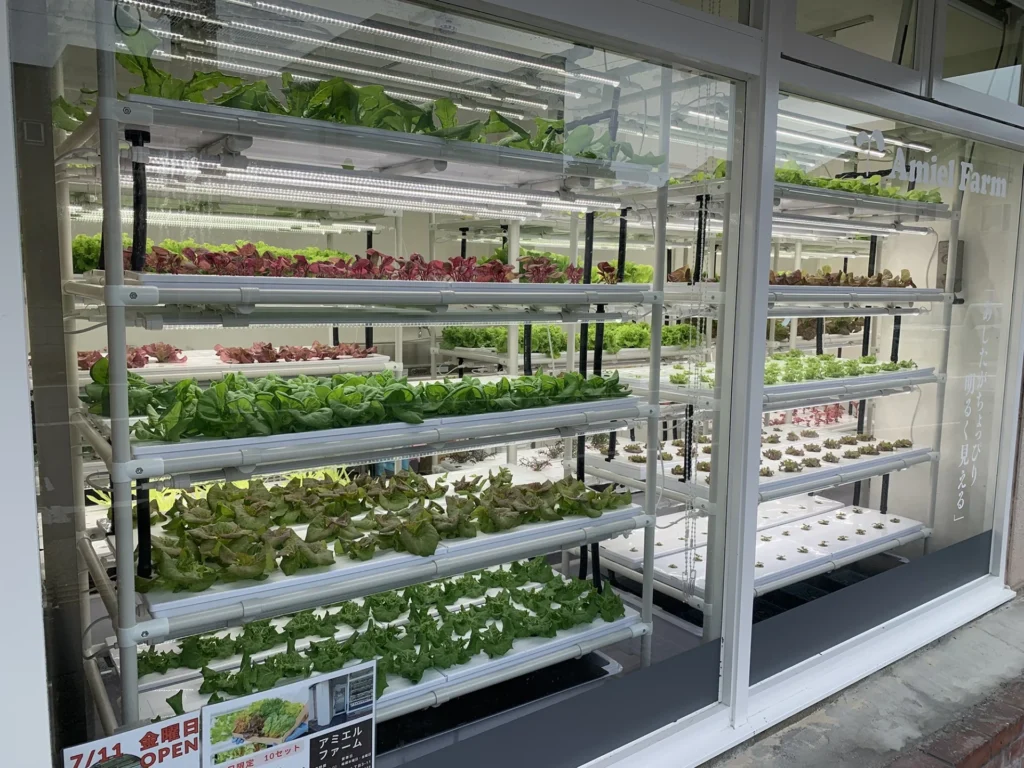 アミエルファーム 魚津市