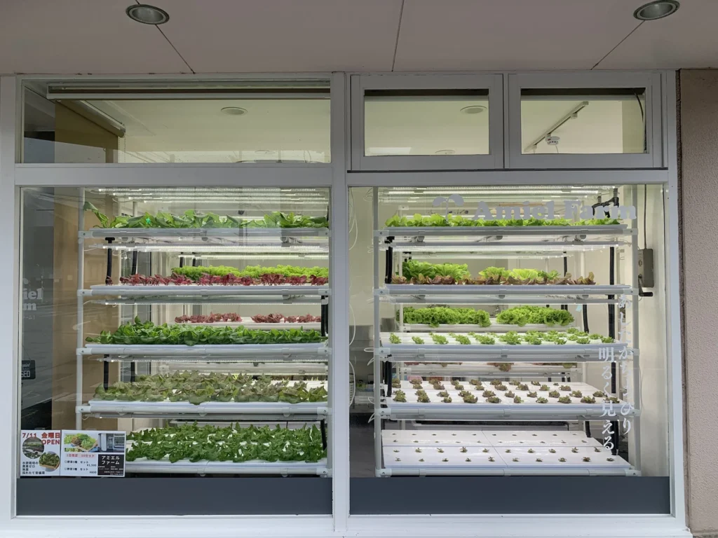 アミエルファーム 魚津市